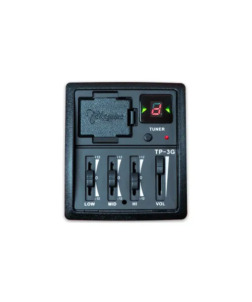 takamine dreadnought 12 ctw elet g series pro