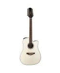 takamine dreadnought 12 ctw elet g series pro