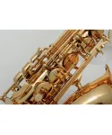 sML Paris VSM A300 SAX 300 Contralto
