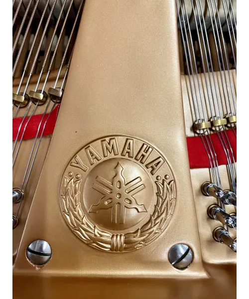 Half-tail piano YAMAHA C3 black