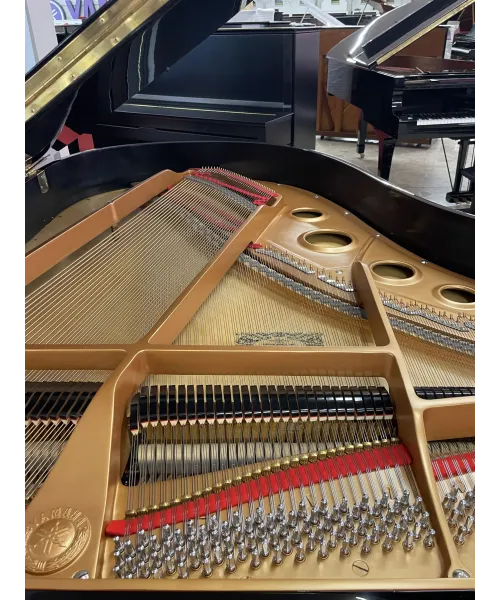 Half-tail piano YAMAHA C3 black