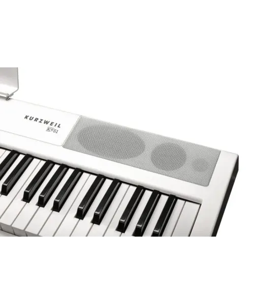 Kurzweil ka s1 wh