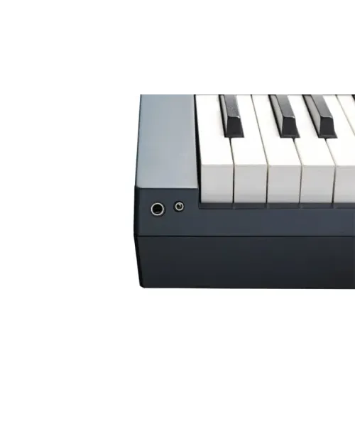 Kurzweil ka p1 kb