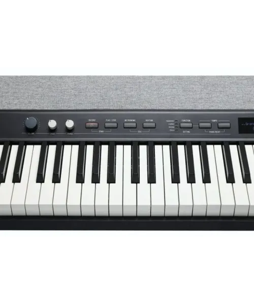 Kurzweil ka p1 lb