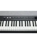 Kurzweil ka p1 lb
