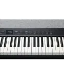 Kurzweil ka p1 lb