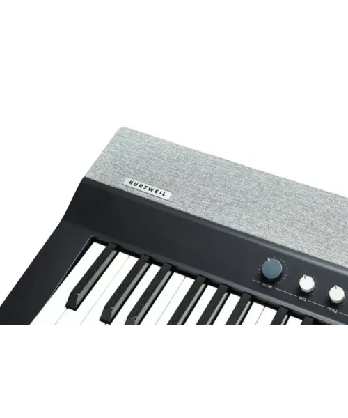 Kurzweil ka p1 lb