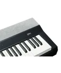 Kurzweil ka p1 lb
