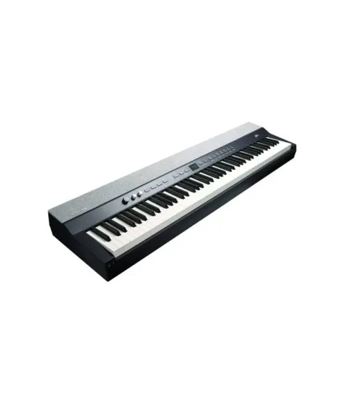 Kurzweil ka p1 lb
