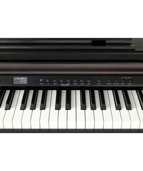 Kurzweil cup e1 sr