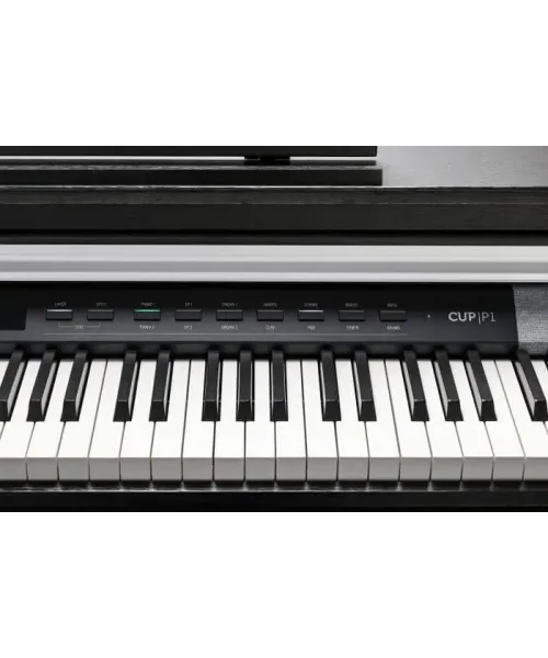 Kurzweil cup p1 bk