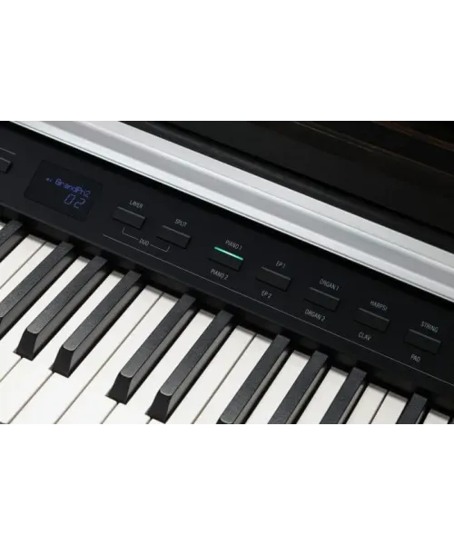 Kurzweil cup p1 bk