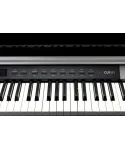 Kurzweil cup p1 bp