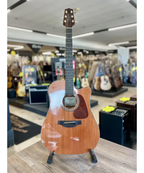 takamine-gsd1ce-ng-