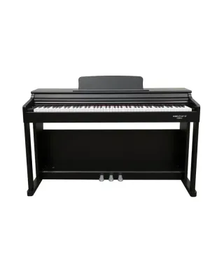ECHORD DPX100 POLISH BLACK  A NOLEGGIO