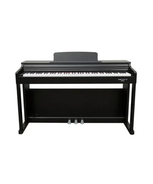 ECHORD DPX100 POLISH BLACK  A NOLEGGIO