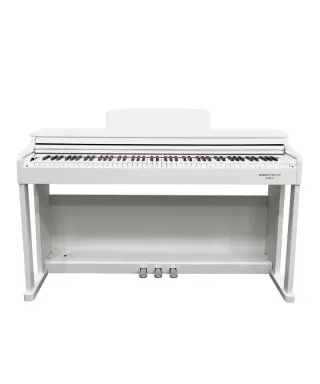 ECHORD DPX100 polish white rental