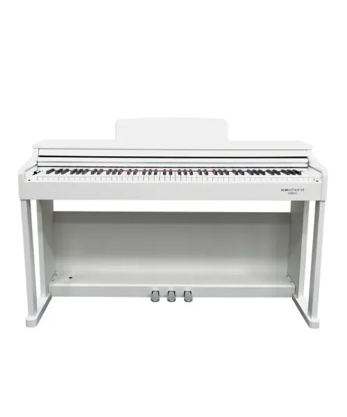 ECHORD DPX100 POLISH WHITE A NOLEGGIO