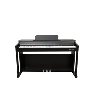 ECHORD DPX100 SATIN BLACK A NOLEGGIO