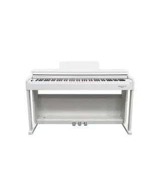 ECHORD DPX100 SATIN WHITE A NOLEGGIO