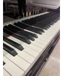Half tail piano Yamaha mod. C3 shiny black