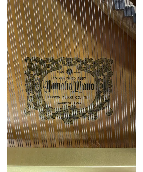 Half-tail piano YAMAHA G2 Black