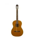 Takamine gsc1 natural gloss