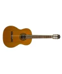 Takamine gsc1 natural gloss