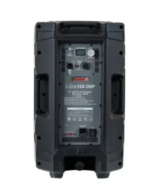 CASSA ATTIVA AUDIODESIGN D-LIVE 15 DSP