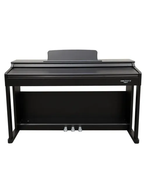 Echord DPX-100 bp polish