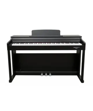 Echord DPX-100 bp polish