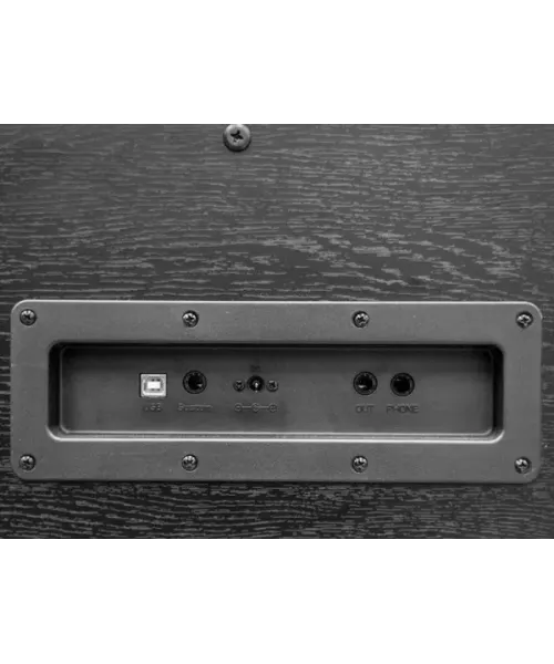 Echord DPX-100 bp polish