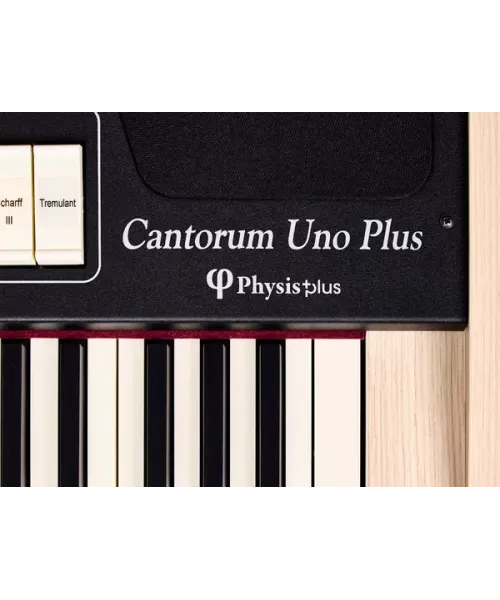 Viscount cantorum uno plus organo portatile