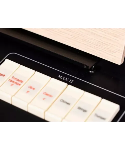 Viscount Cantorum a Plus Portable Organ