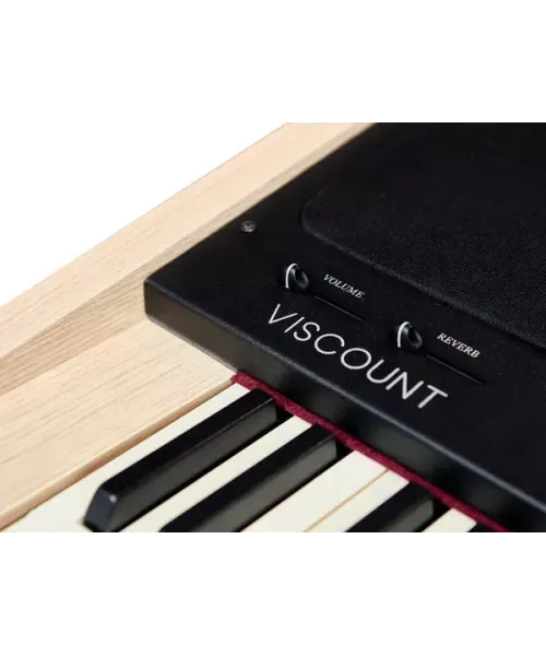 Viscount cantorum uno plus organo portatile