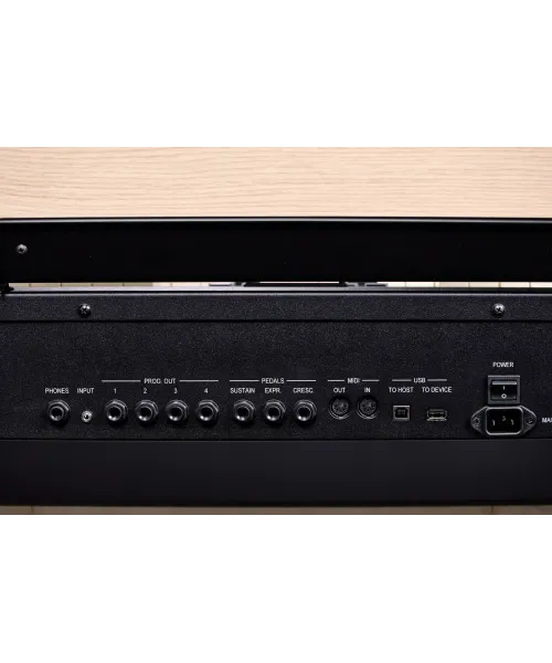 Viscount cantorum uno plus-w organo portatile