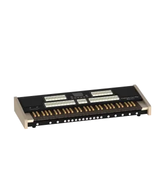 Viscount Cantorum UNO PLUS-W port portable organ