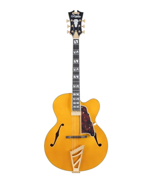 D'angelico excel exl1 style b amber