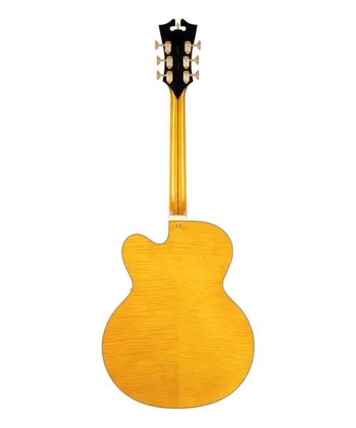 D'angelico excel exl1 amber