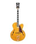 D'angelico excel exl1 amber