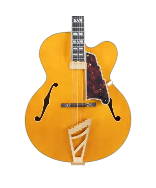 D'angelico excel exl1 amber