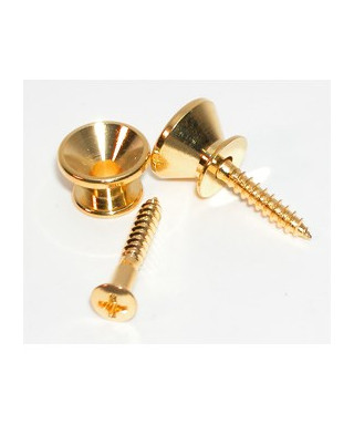 BUSTA 10 BOTTONI EP-B2G