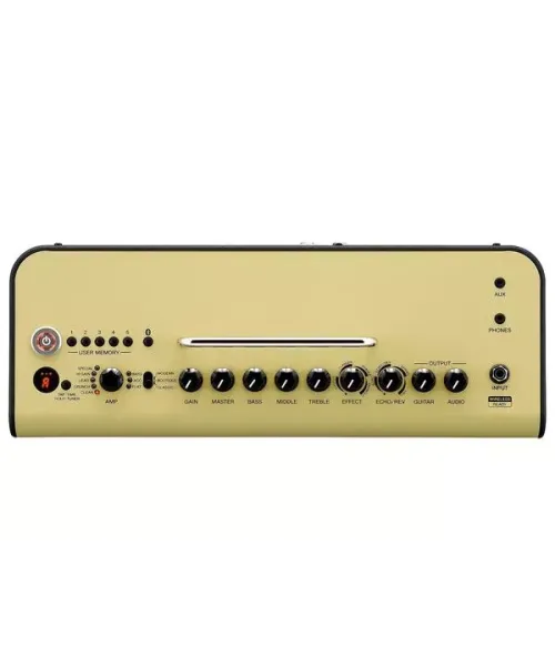 Yamaha Thr30ii wireless