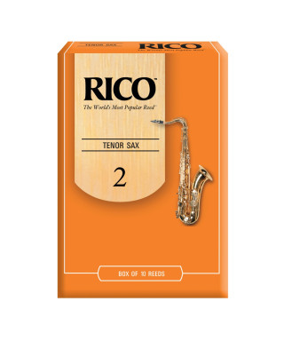 Conf. 10 Reeds RICO RKA1020 SAX Tenor 2