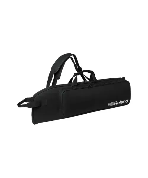 Roland ae-30 aerophone pro