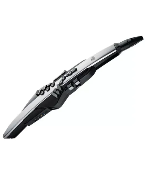 Roland ae-30 aerophone pro