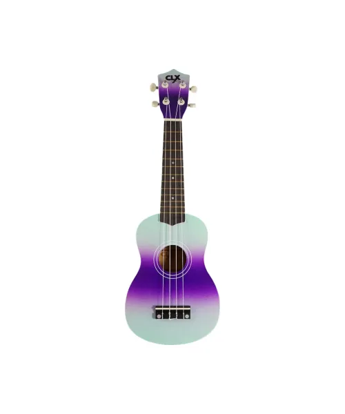 Clx calista 21 color dc1 (mint + purple)