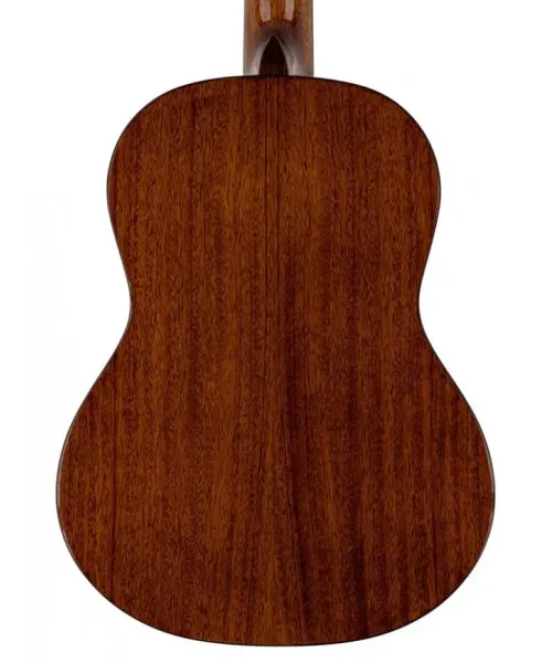 Salvador Cortez Ibertia Maya-c