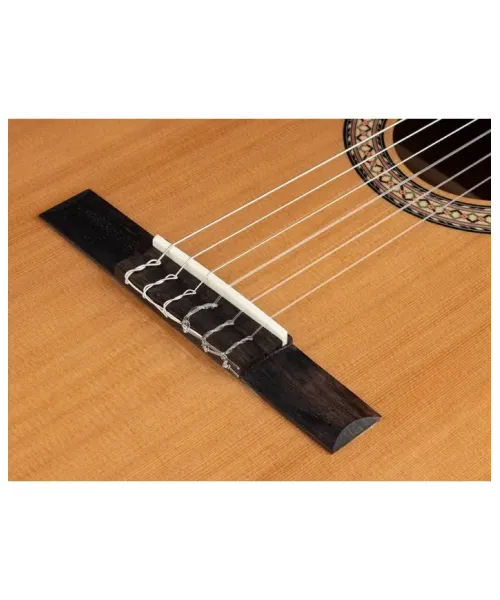 Salvador Cortez Ibertia Maya-c