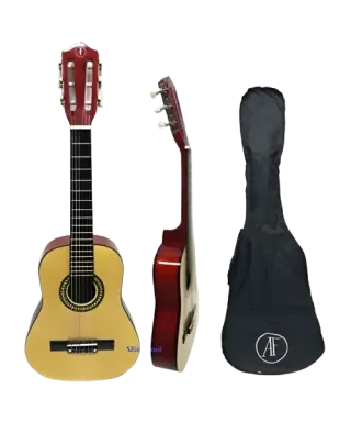 AF C100432 guitar 1/ 4 c / bag